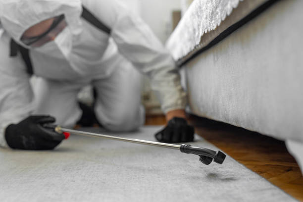 Professional Bed Bug Control technician working in Ulster County County, NY